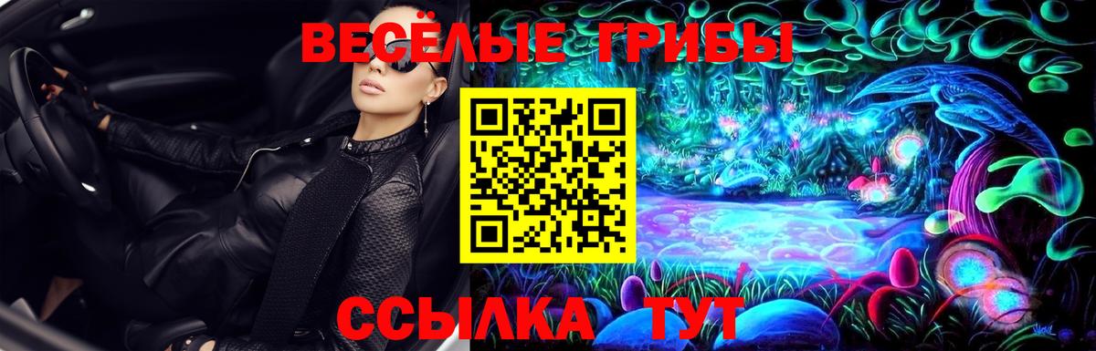 Псилоцибиновые грибы прущие грибы Светлоград