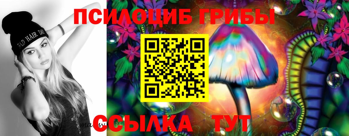 Светлоград  Галлюциногенные грибы Psilocybine cubensis  Псилоцибиновые грибы мухоморы  Вход с VPN 